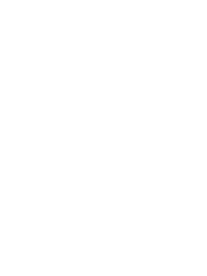 Bundesliga