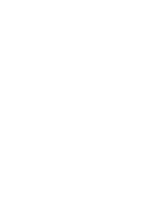 UEFA Europa League
