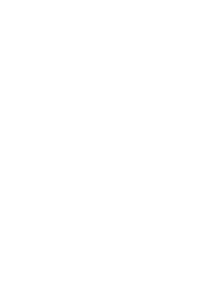 Premier League